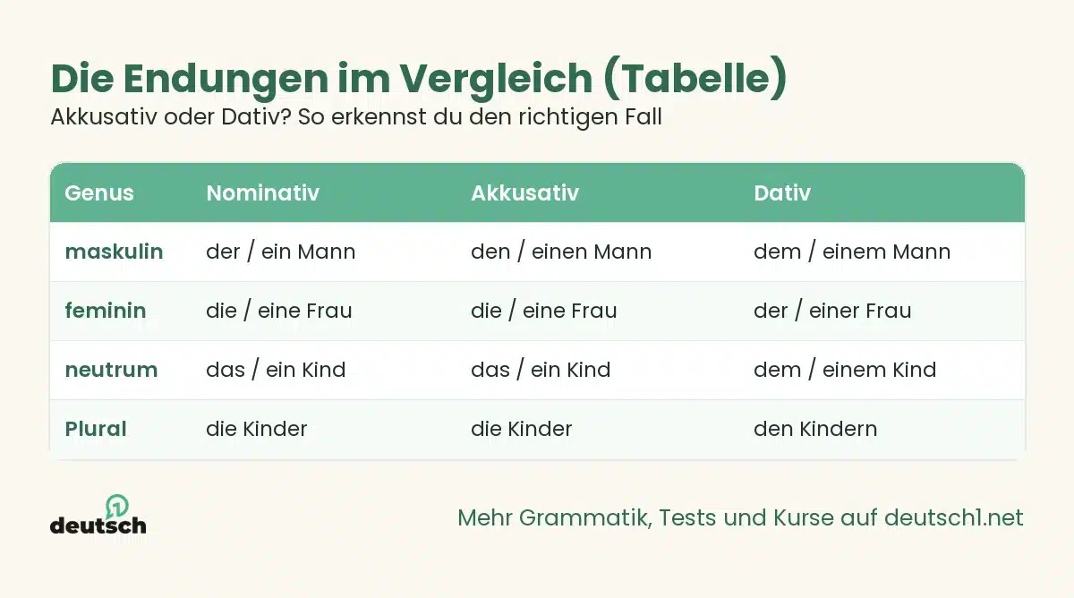 Akkusativ oder Dativ? So erkennst du den richtigen Fall 1 Übersicht als Grafik: Die Endungen im Vergleich (Tabelle) (Akkusativ oder Dativ? So erkennst du den richtigen Fall)