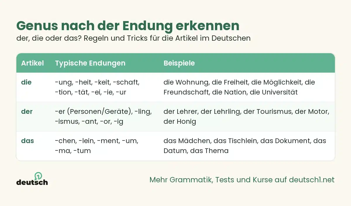 der, die oder das? Regeln und Tricks für die Artikel im Deutschen 1 Übersicht als Grafik: Genus nach der Endung erkennen (der, die oder das? Regeln und Tricks für die Artikel im Deutschen)