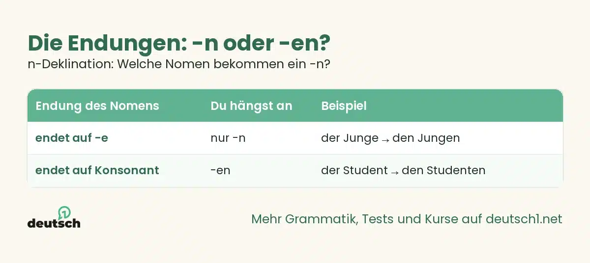 n-Deklination: Welche Nomen bekommen ein -n? 1 Übersicht als Grafik: Die Endungen: -n oder -en? (n-Deklination: Welche Nomen bekommen ein -n?)