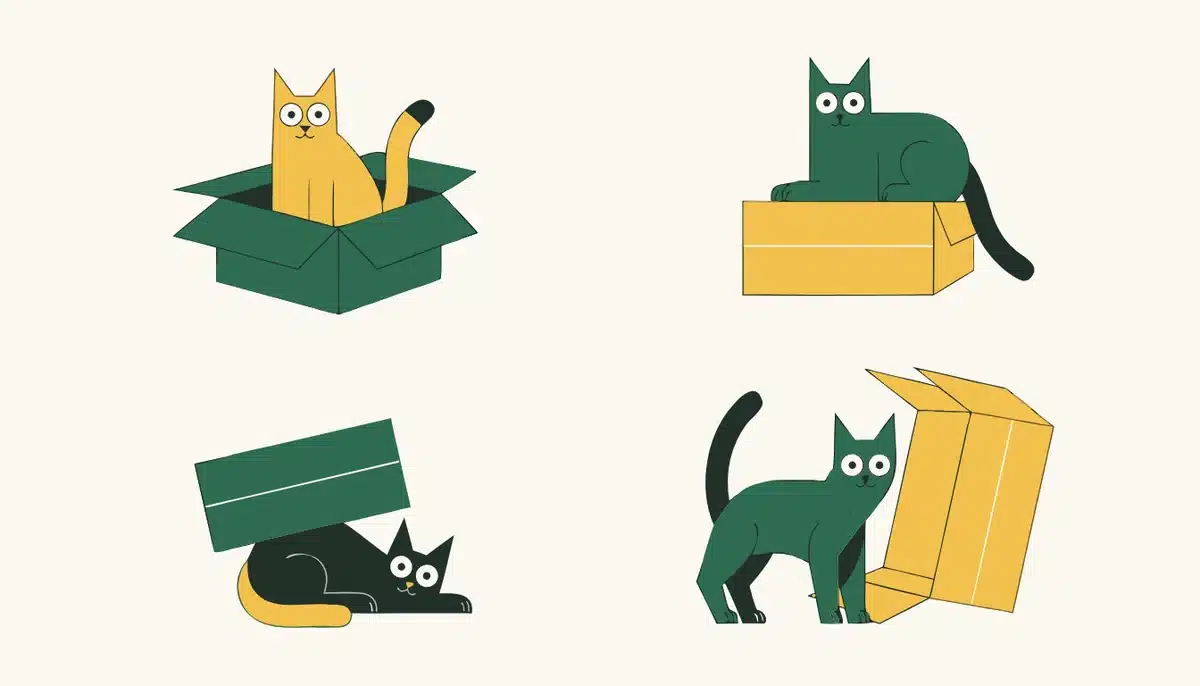 Präpositionen im Deutschen: Übersicht mit Fall und Listen 2 Illustration: Katzen in, auf, unter und neben einem Karton.
